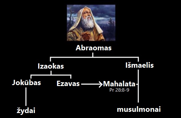 žydai ir musulmonai